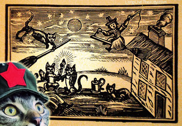 cats witches black plague cause