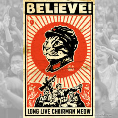 chairman meow believe poster