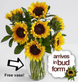 Free vase